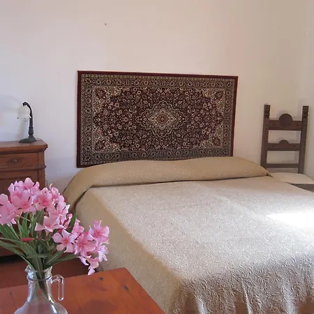 Campi Elisi * Sassari